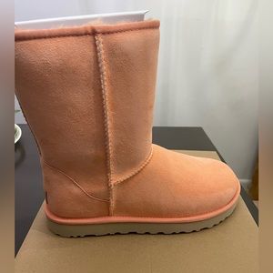 Brand New Ugg Classic Short II Size 10
